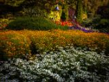 20140822-IMG 8954 : Butterfly Garden, Canada, The Butchard Garden, Vancouver Island