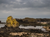 IMG 5721 : 2016, Ballintoy HarbourTrail to Whitepark Bay, Northern Ireland