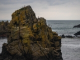 IMG 5918 : 2016, Ballintoy HarbourTrail to Whitepark Bay, Northern Ireland