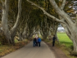 IMG 5435 : 2016, Northern Ireland, The Dark Hedges