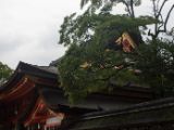 20130805-IMG 0865 : Japan, Kyoto, Yasaka Shrine