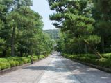 20130806-IMG 0897 : Japan, Kyoto, Shrine, Temple