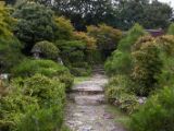 20130808-IMG 1778 : Arashiyama, Bamboo Grove, Japan, Kyoto, Shrine, Temple