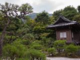 20130808-IMG 1792 : Arashiyama, Bamboo Grove, Japan, Kyoto, Shrine, Temple