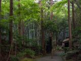 20130808-IMG 1834 : Arashiyama, Bamboo Grove, Japan, Kyoto, Shrine, Temple