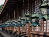 20130810-IMG 2163 : Deers, Japan, Lanterns, Nara, Shrine, Temple