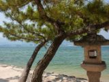 20130814-IMG 3338 : Hiroshima, Japan, Miyajima