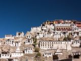 20150914-IMG 0232 : Ladakh, Shey, Tikhe