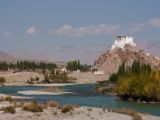 20150914-IMG 0249 : Ladakh, Shey, Tikhe
