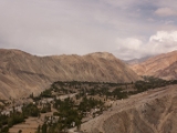 IMG 0281 : Ladakh