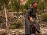 IMG 0621 : Ladakh