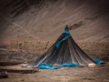 IMG 0873 : Ladakh