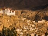 IMG 0921 : Ladakh