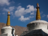 IMG 1106 : Ladakh