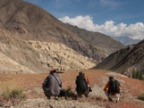 IMG 1264 : Ladakh