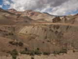 IMG 1348 : Ladakh
