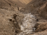 IMG 1413 : Ladakh