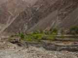 IMG 1453 : Ladakh