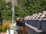 IMG 1469 : Ladakh