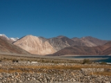 IMG 2441 : Ladakh