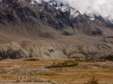 IMG 9356 : Indien, Ladakh, Nubra Valley