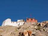 20150913-IMG 0087 : Ladakh, Leh