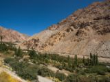 IMG 0033 : Ladakh