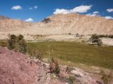 IMG 0089 : Ladakh