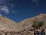 IMG 0219 : Ladakh