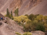 IMG 0689 : Ladakh