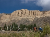 IMG 1210 : Ladakh
