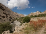 IMG 1219 : Ladakh