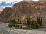 IMG 1441 : Ladakh