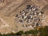 IMG 1584 : Ladakh