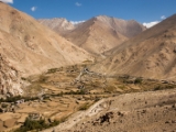 IMG 1614 : Ladakh