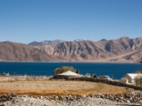IMG 2442 : Ladakh