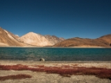 IMG 2508 : Ladakh