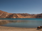 IMG 2528 : Ladakh