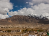 IMG 9662 : Indien, Ladakh, Nubra Valley