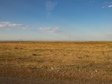 20190831-IMG 0400 : 2019, Mongolei, Mongolia