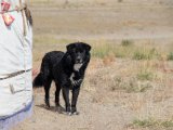 20190901-IMG 0511 : 2019, Mongolei, Mongolia