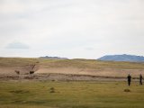 20190901-IMG 0594 : 2019, Mongolei, Mongolia