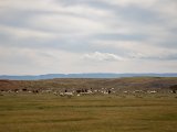 20190901-IMG 0597 : 2019, Mongolei, Mongolia