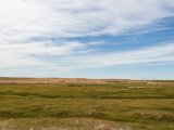 20190901-IMG 0598 : 2019, Mongolei, Mongolia