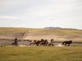 20190901-IMG 0613 : 2019, Mongolei, Mongolia