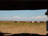 20190903-IMG 0816 : 2019, Mongolei, Mongolia