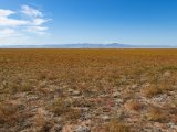 20190903-IMG 0819 : 2019, Mongolei, Mongolia