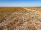 20190903-IMG 0820 : 2019, Mongolei, Mongolia