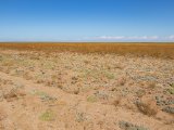 20190903-IMG 0826 : 2019, Mongolei, Mongolia