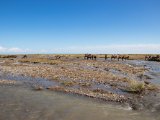20190903-IMG 0843 : 2019, Mongolei, Mongolia